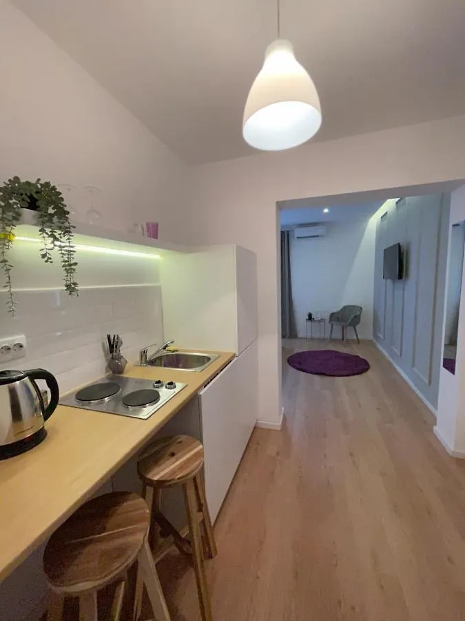 On The River Ultra Central Suites Bucureşti Apartament