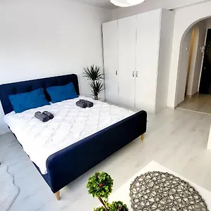  Apartment Victoriei Central Studio